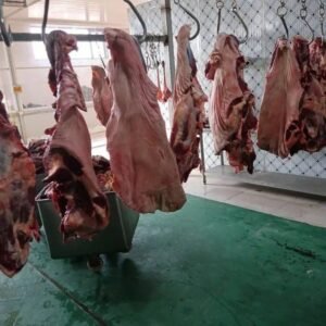 Boneless Donkey Meat