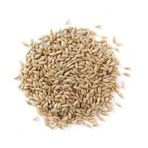 Canary Seeds