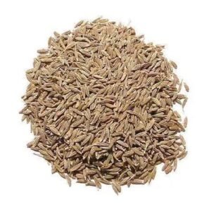 Cumin Seed Spice