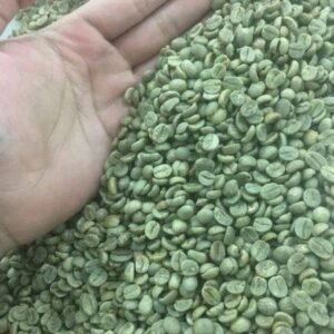 Green Arabica and Robusta Coffee Beans