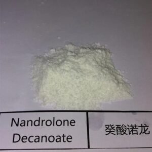 Nandrolone Decanoate Powder