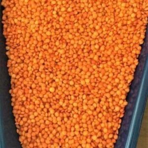 Red Lentils Grains