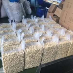 Vietnam Cashew Nuts